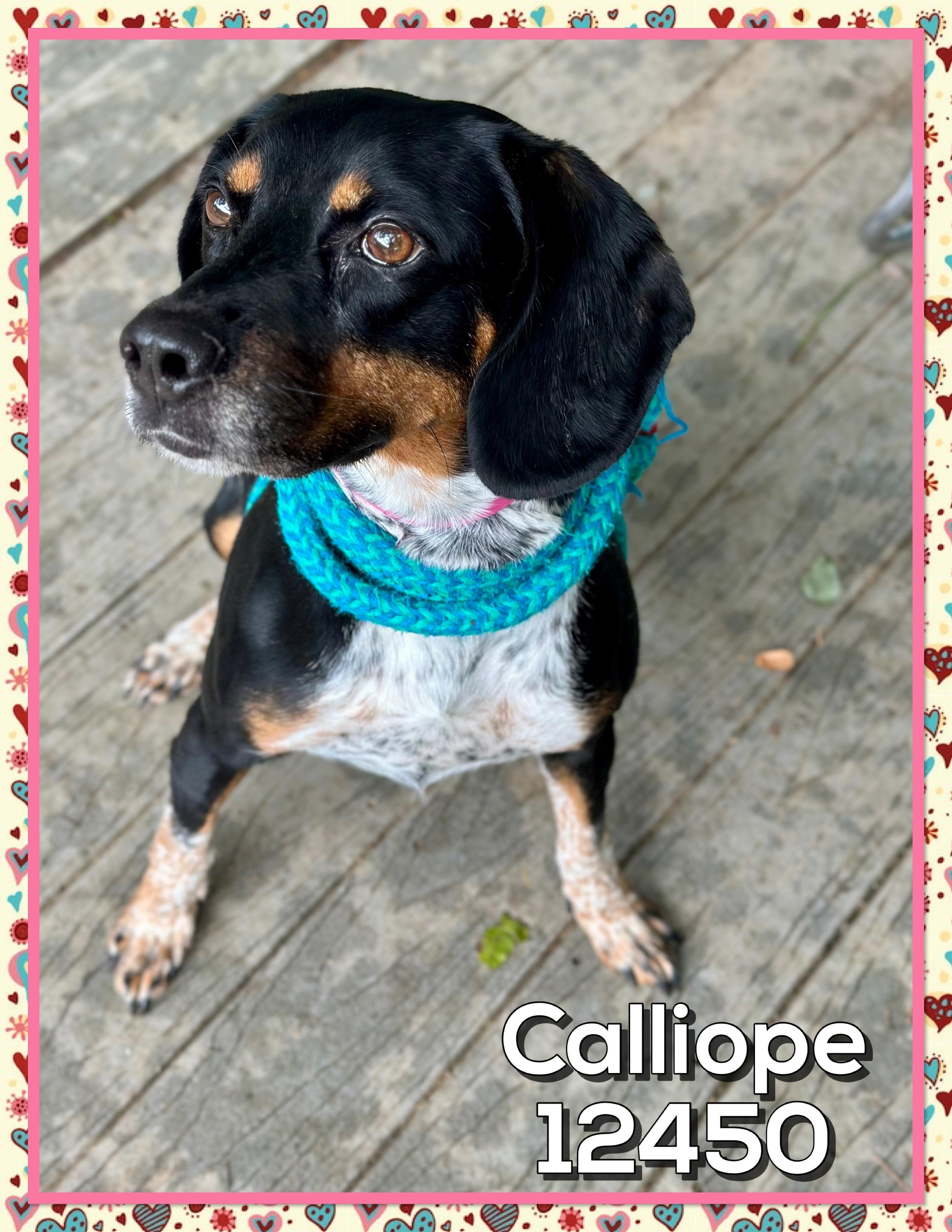 CALLIOPE