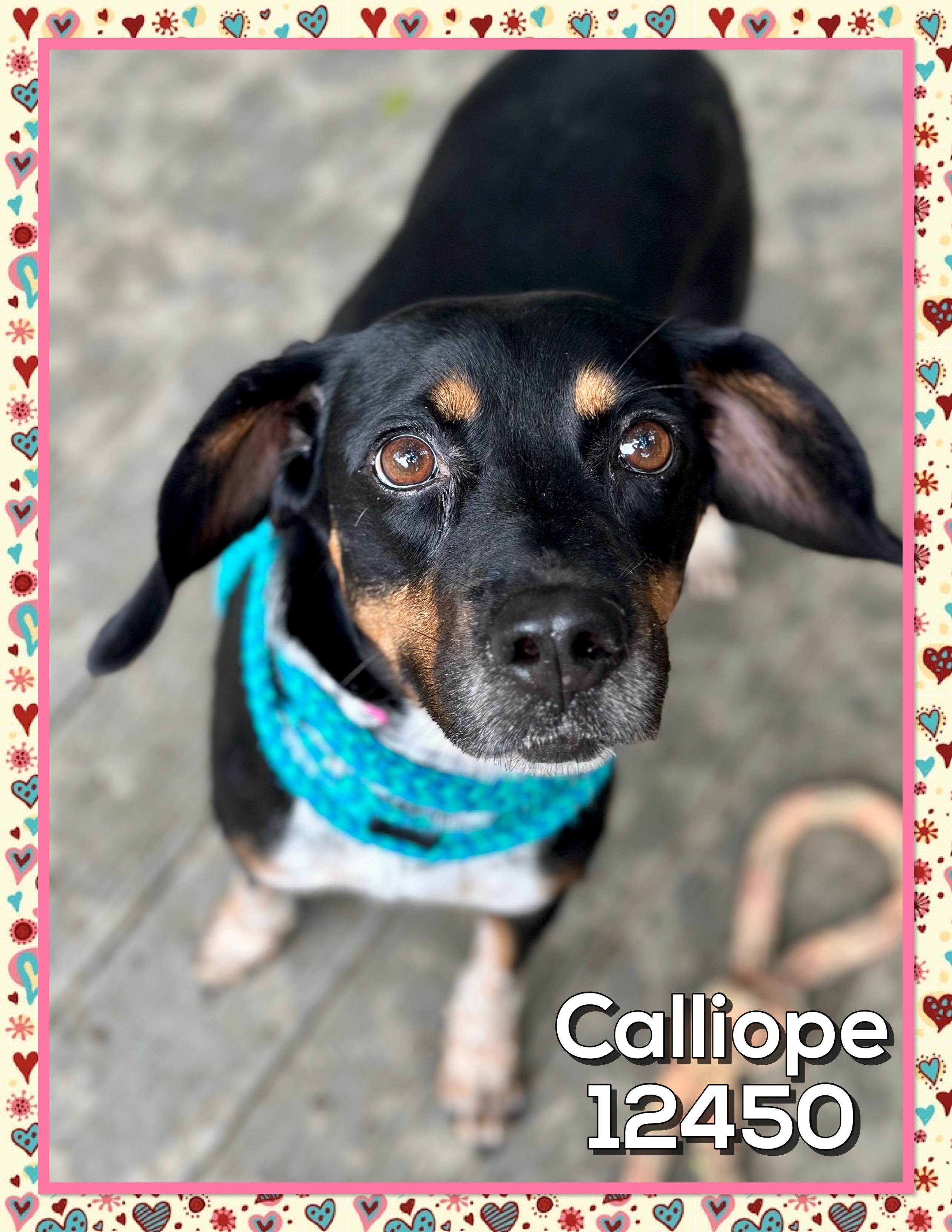 CALLIOPE