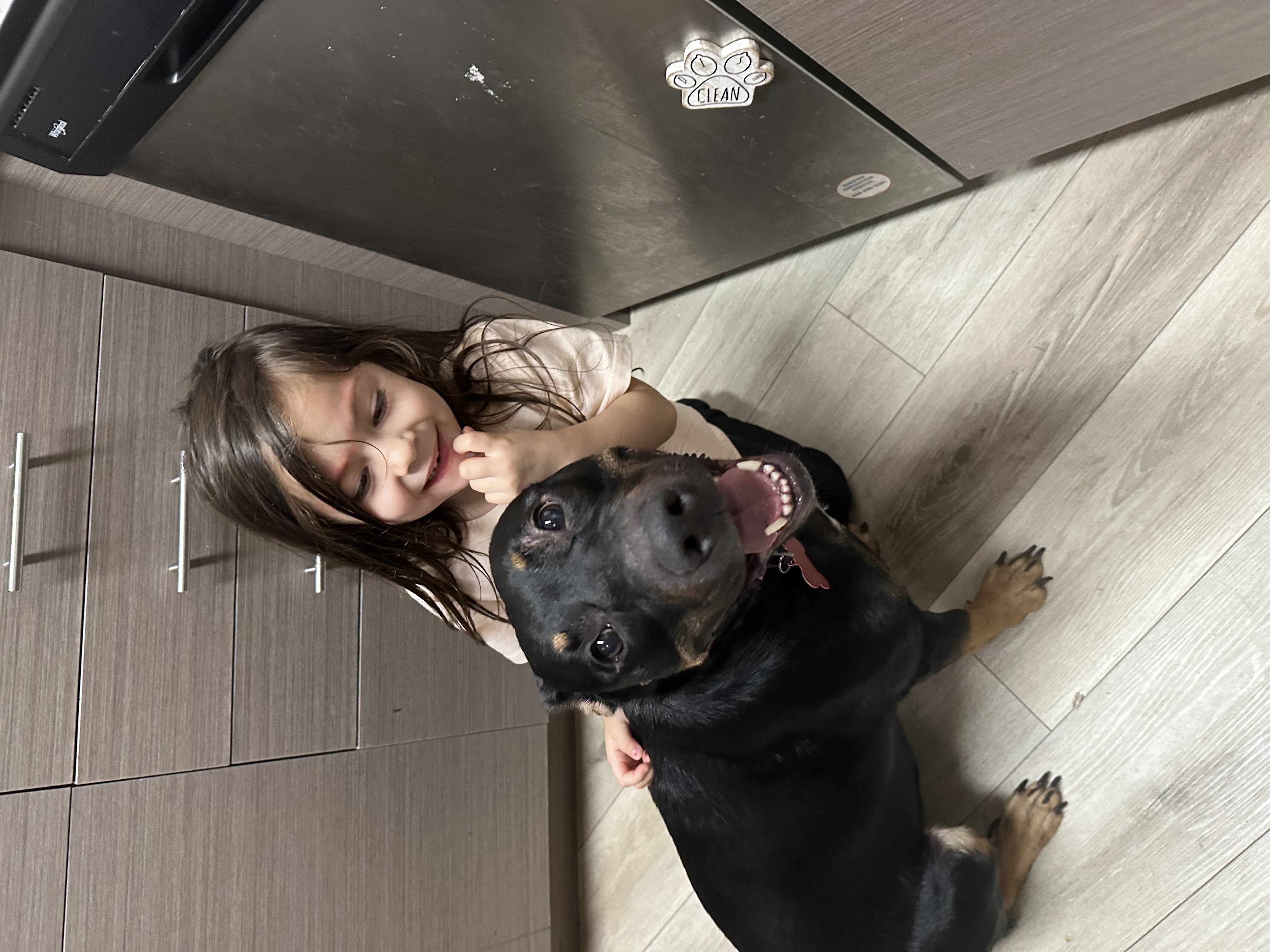 Rosie, a Adoptable mixed breed in San Jose, CA image 3/5