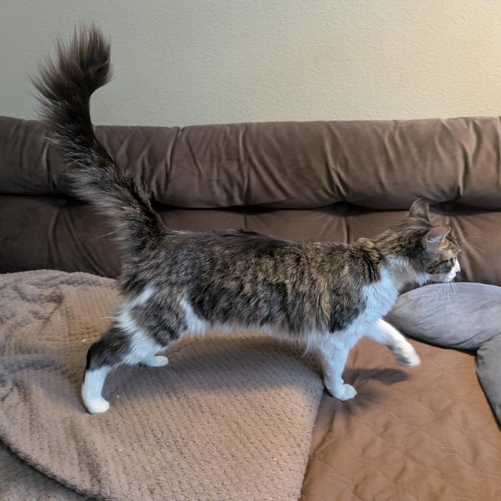 Kelly — thumbnail 2