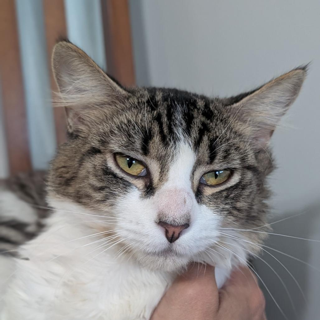 Kelly — thumbnail 3