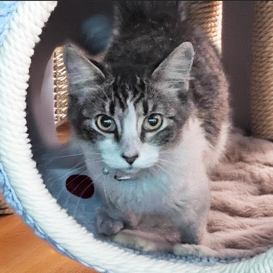 Kelly — thumbnail 4