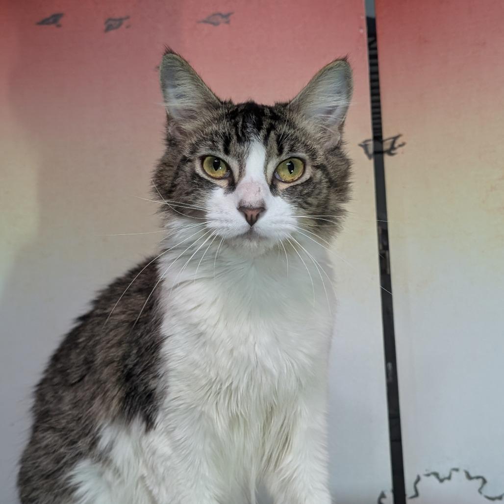 Kelly — thumbnail 5