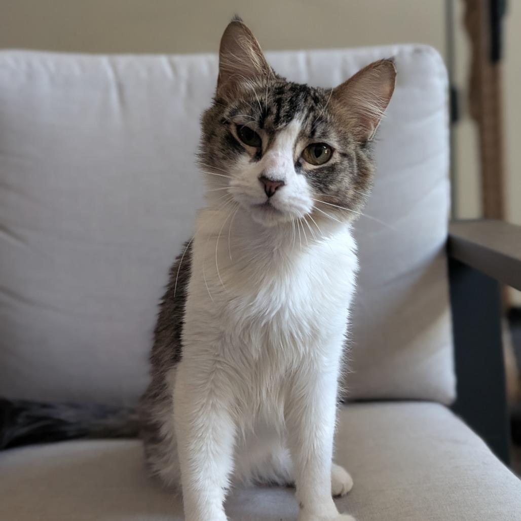 Kelly — thumbnail 6