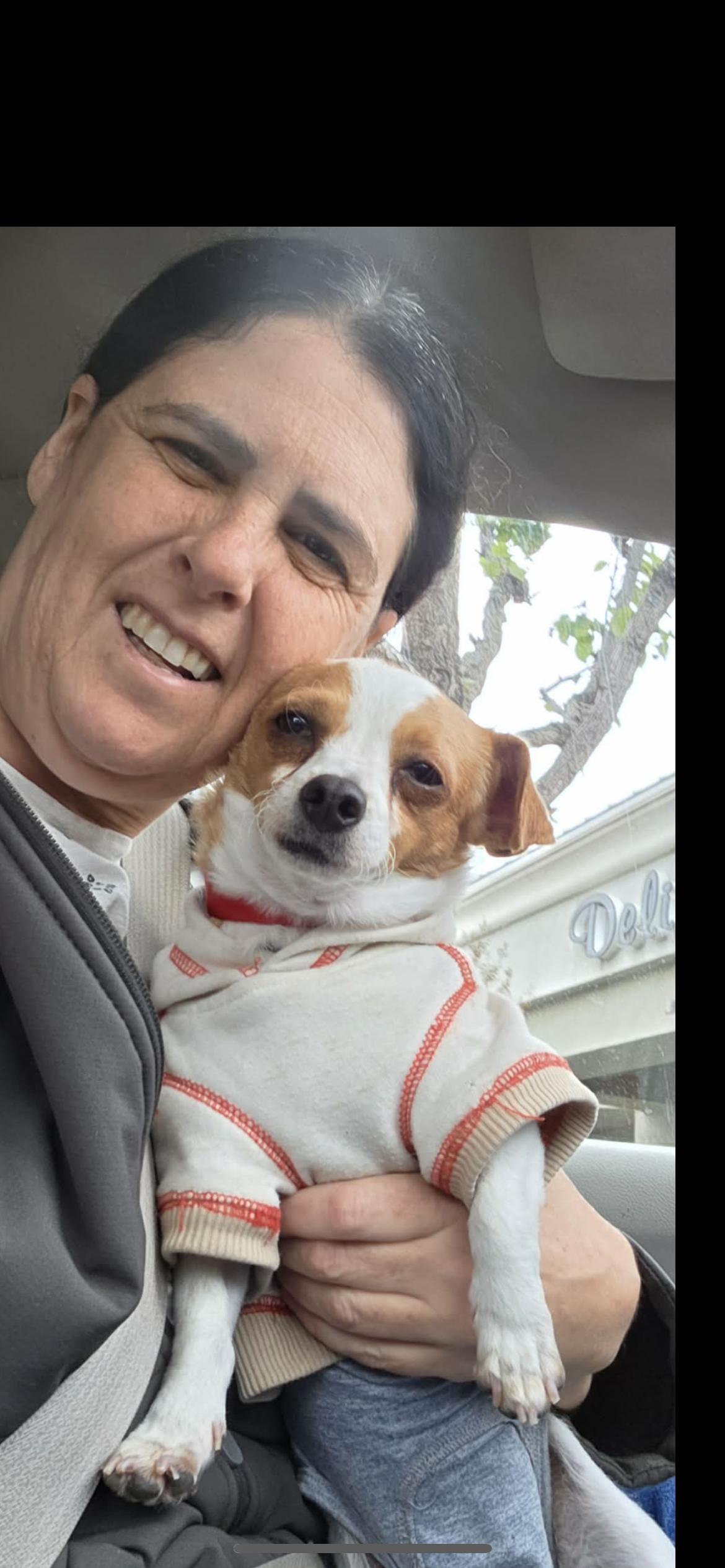 Enlarge Velma, a Adoptable mixed breed in Hamden, CT image 3/6