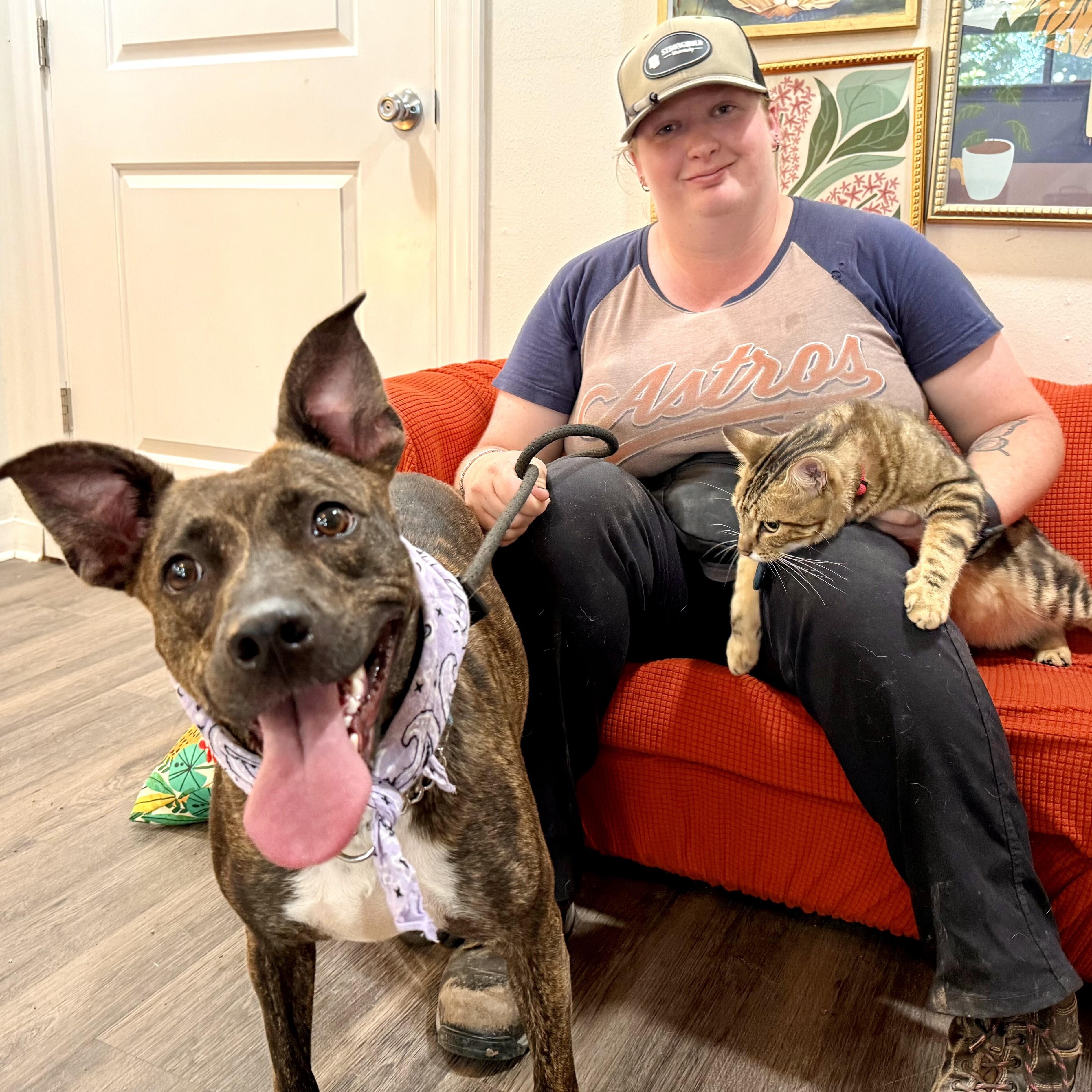 Enlarge Dior Love is all the sweetness!, a Adoptable mixed breed in Friendswood, TX image 2/6