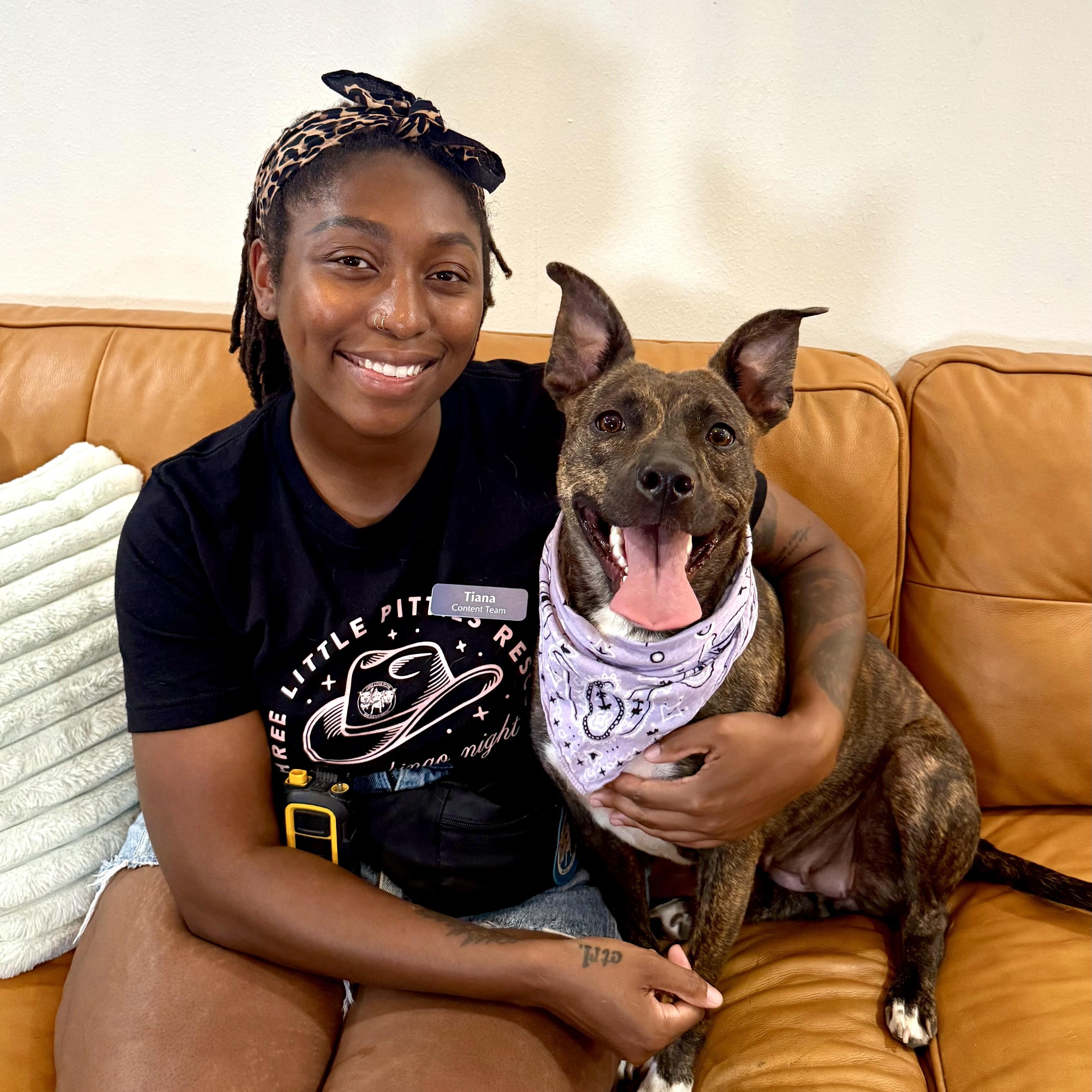 Enlarge Dior Love is all the sweetness!, a Adoptable mixed breed in Friendswood, TX image 3/6