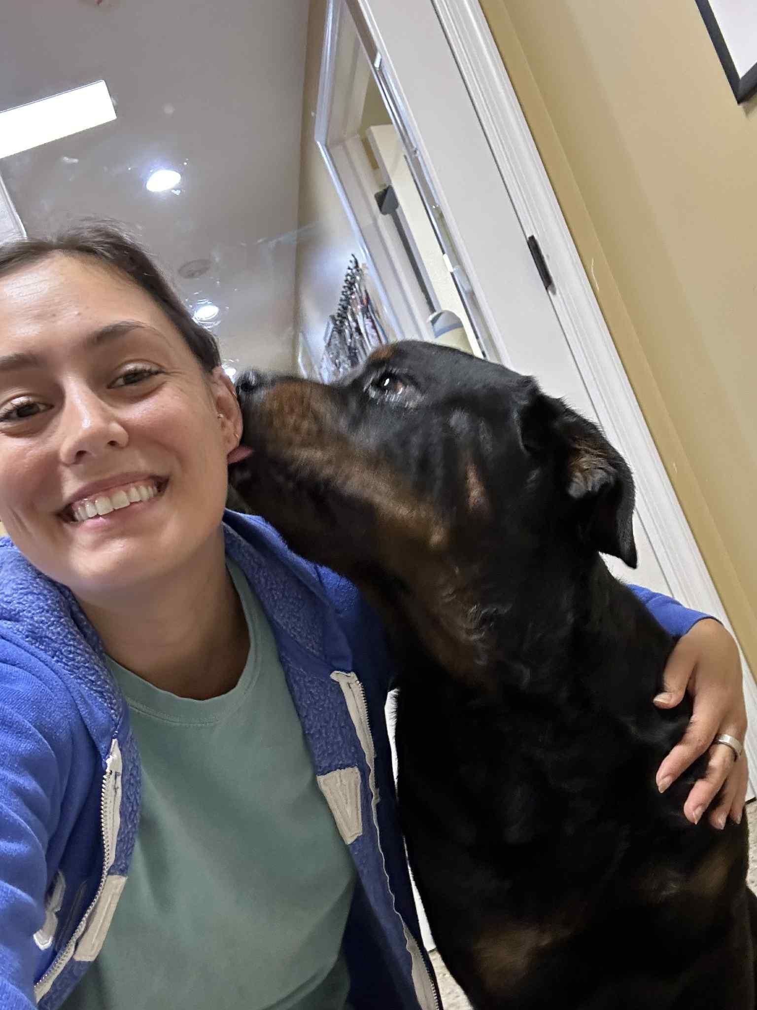 Enlarge Artie, a Adopted Rottweiler in Perkasie, PA image 2/6