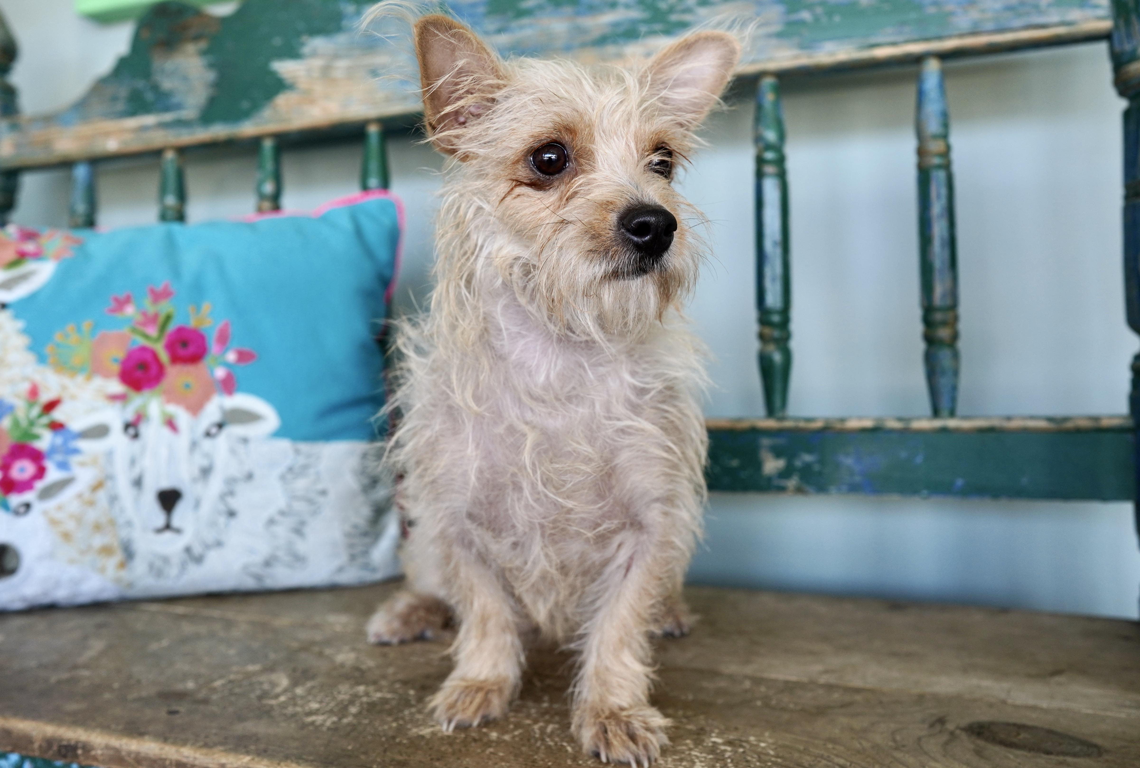 Mary Shelley thumbnail 4