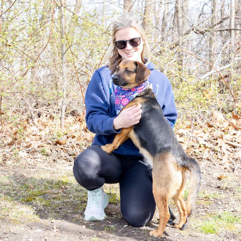Enlarge Annie  (Female)    , a Adoptable mixed breed in West Grove, PA image 4/6