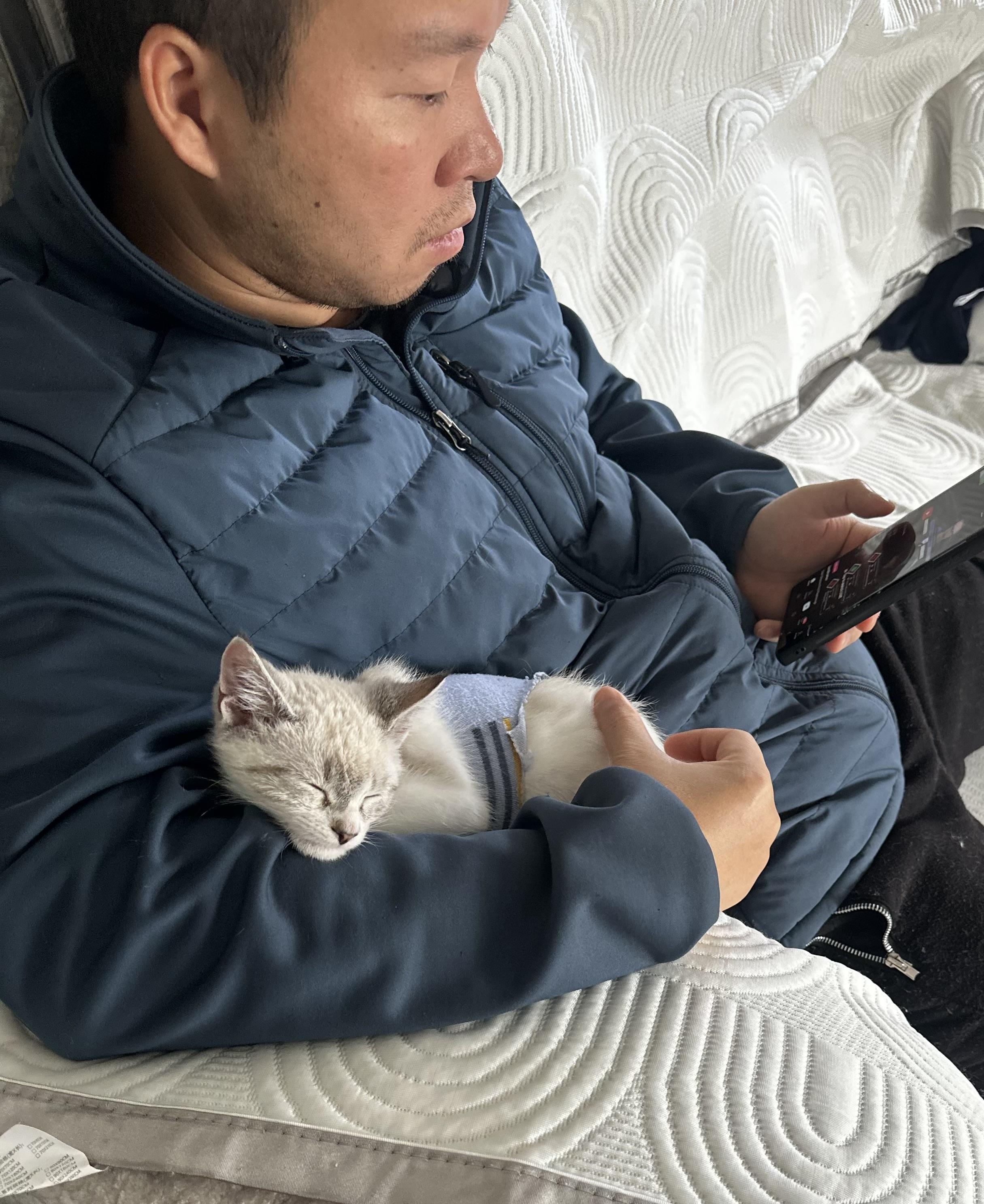 Aspen, a ADOPTABLE mixed breed in Woodinville, WA image 4/5