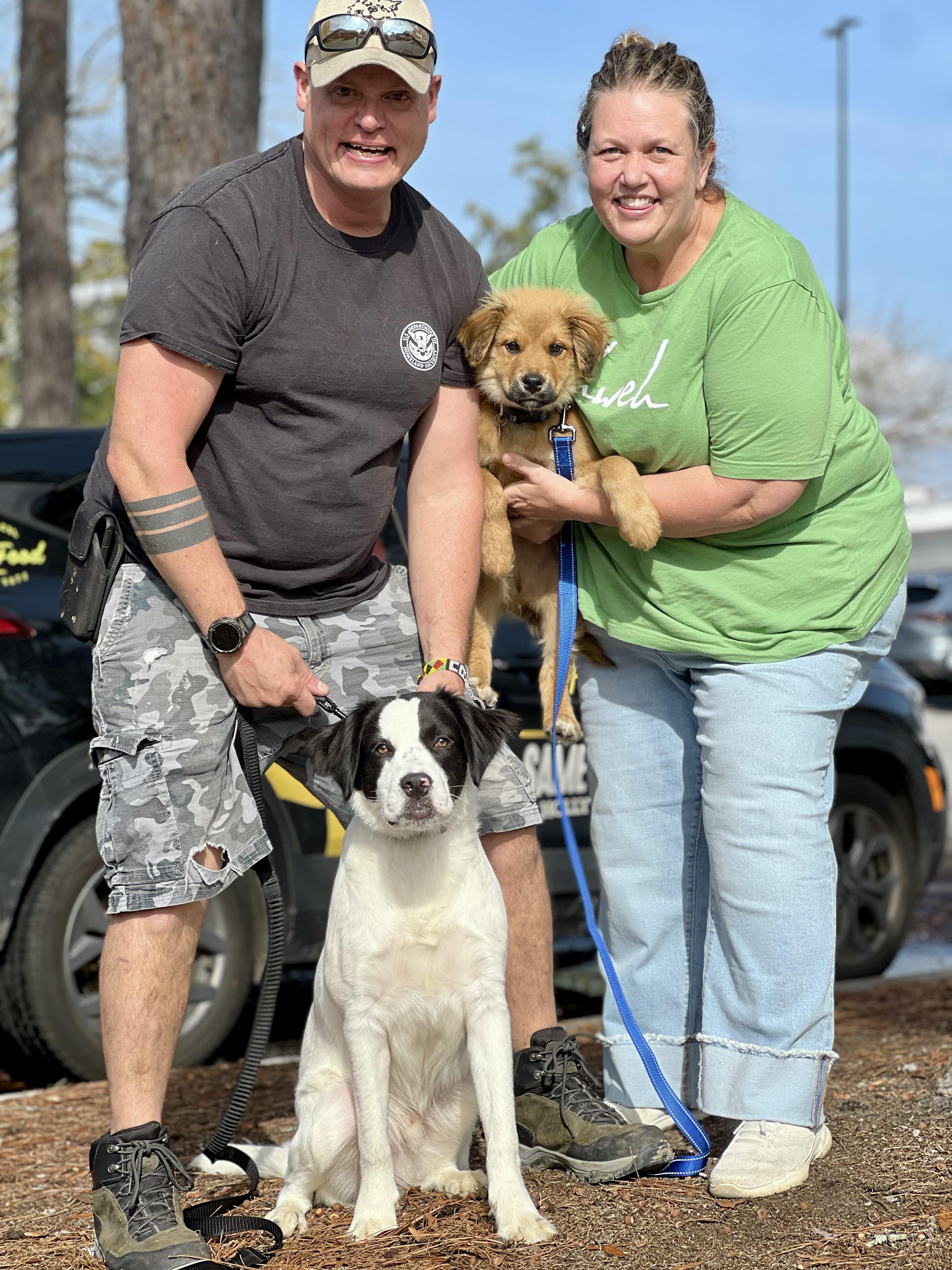 Gatsby, an adopted mixed breed in Mt Pleasant, SC image 6/6