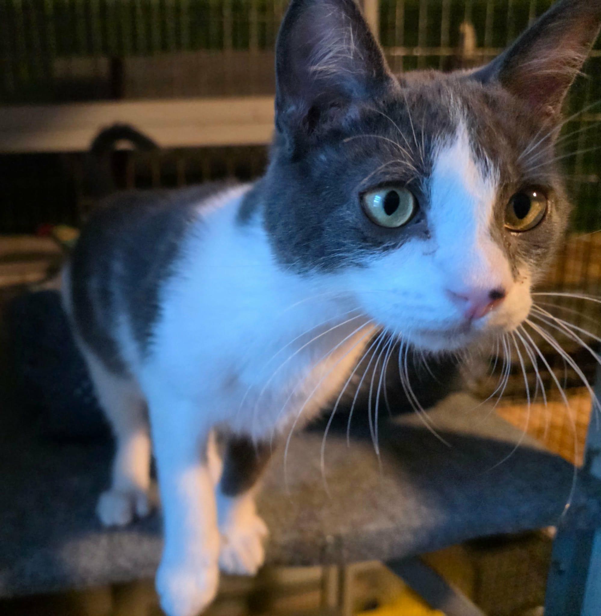 Larry And Lance thumbnail 5