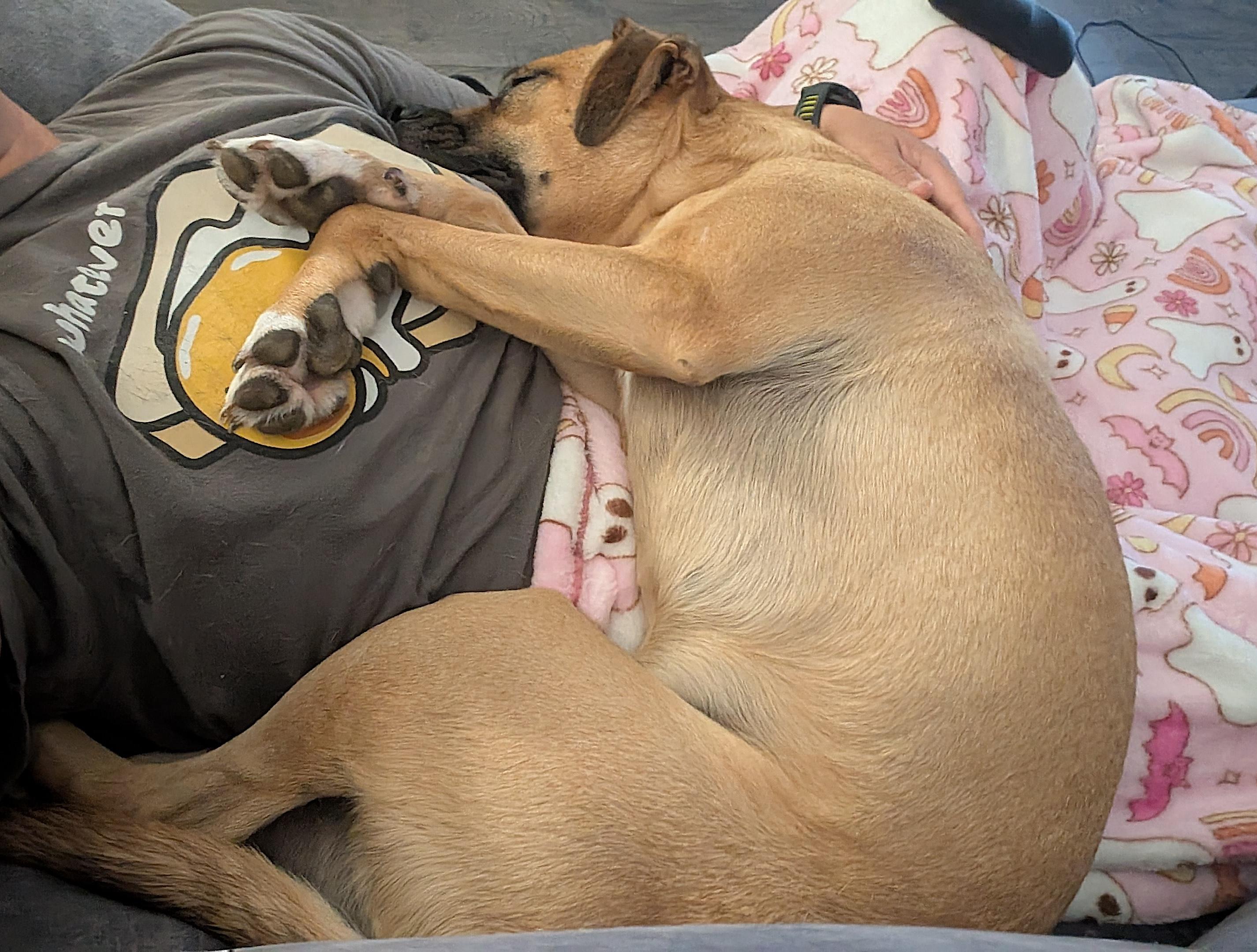 Remi — thumbnail 3