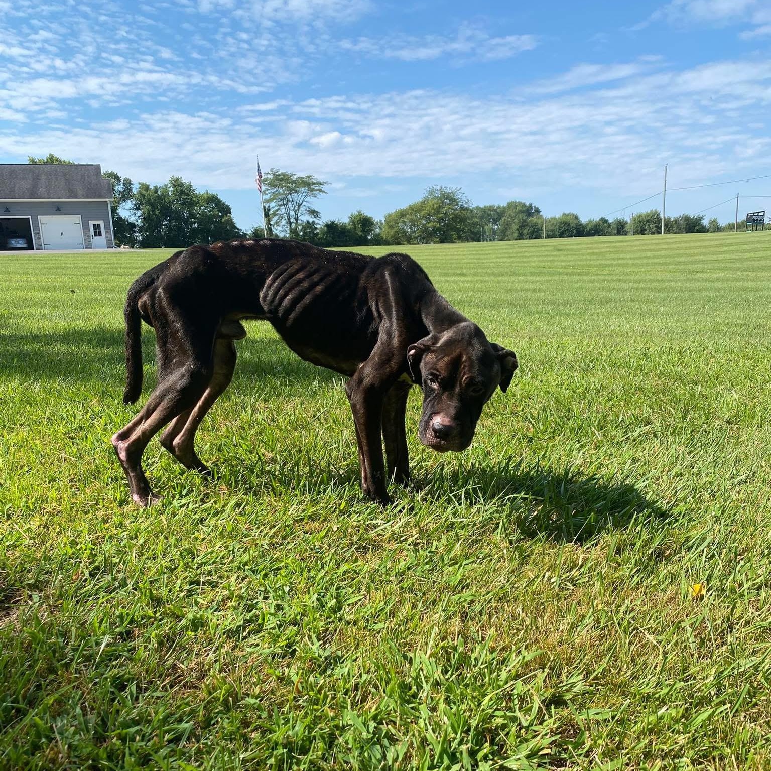Doc Holliday thumbnail 4