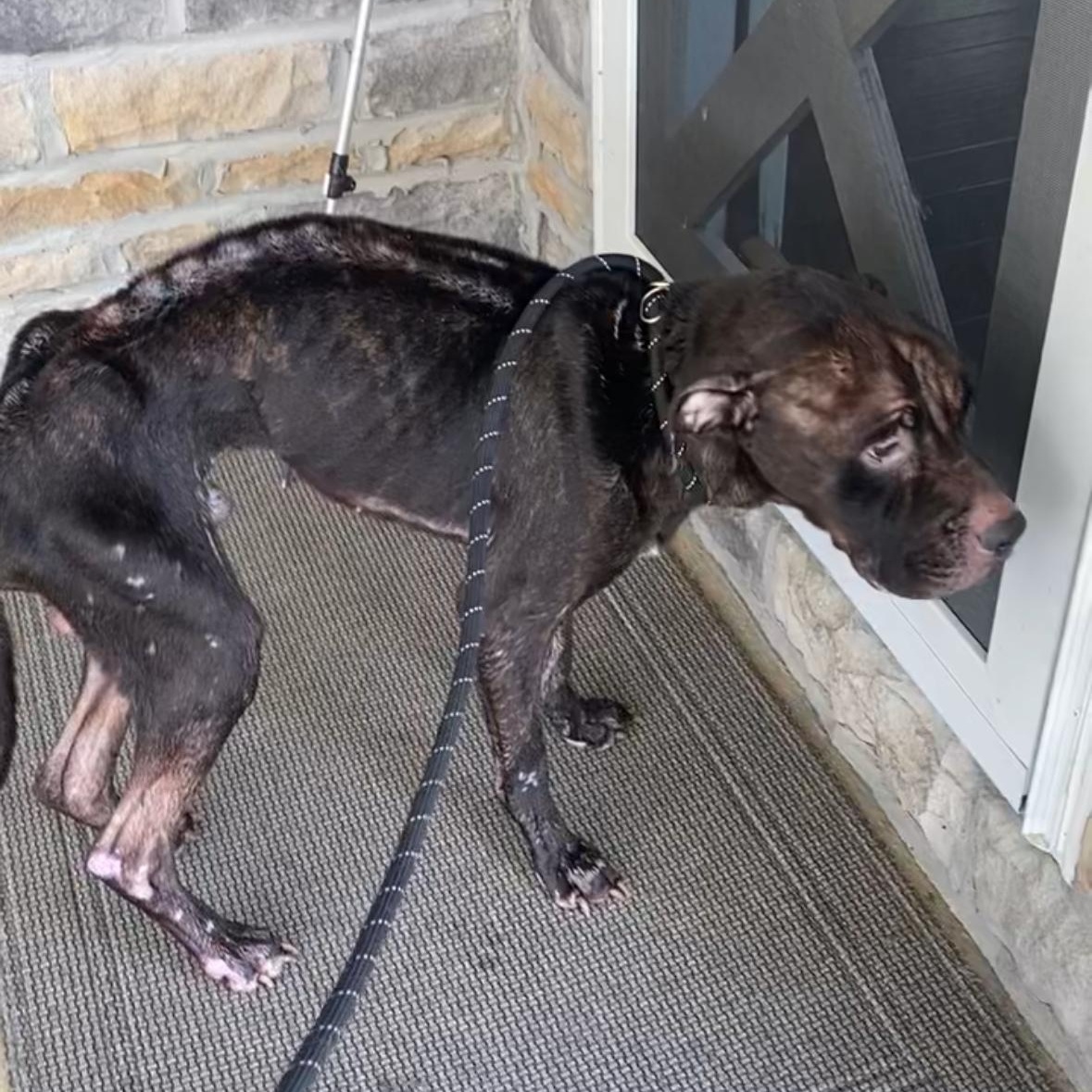 Doc Holliday thumbnail 5