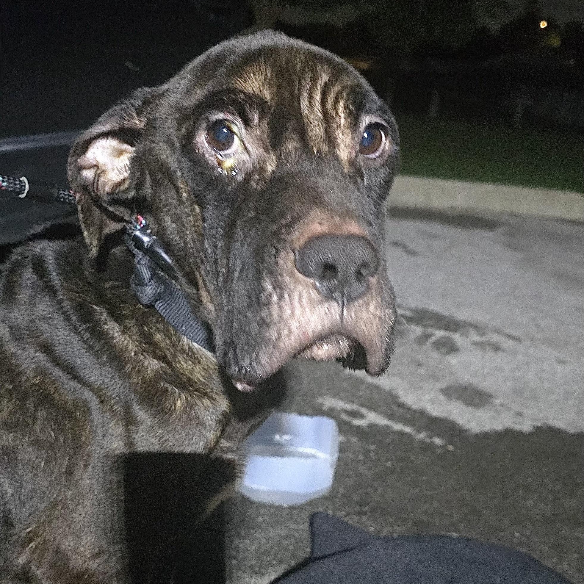 Doc Holliday thumbnail 6