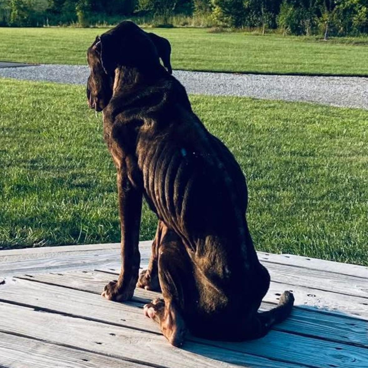 Doc Holliday thumbnail 7