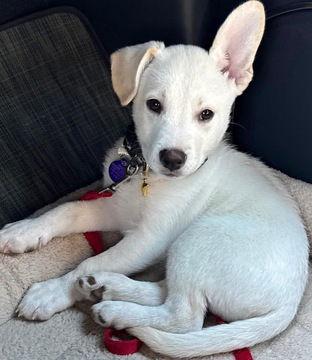 Casper D5742 — thumbnail 2