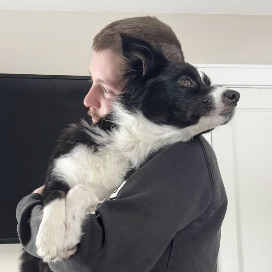 Enlarge Rosie, an adopted mixed breed in Albany, NY image 5/6