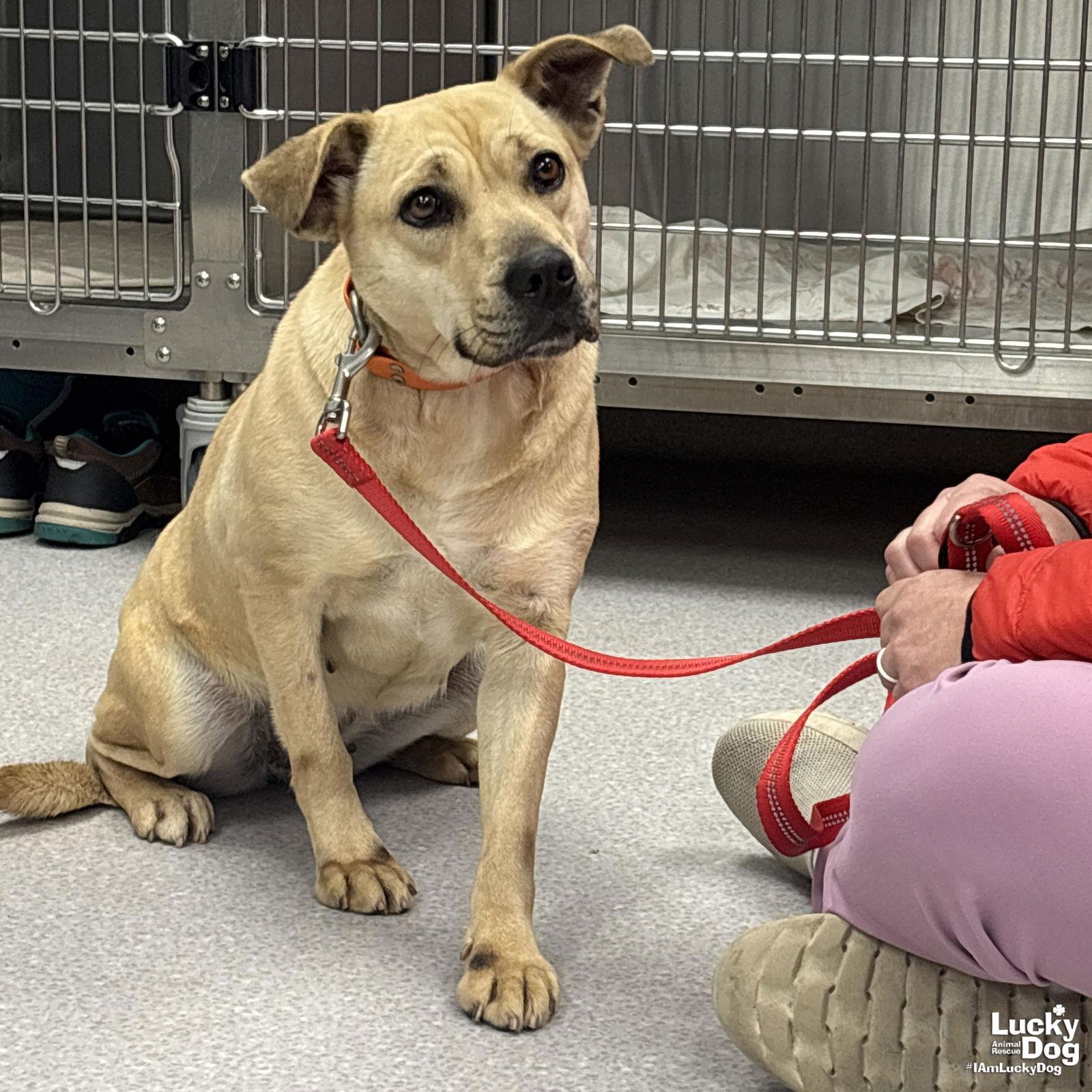 Brandice thumbnail 3