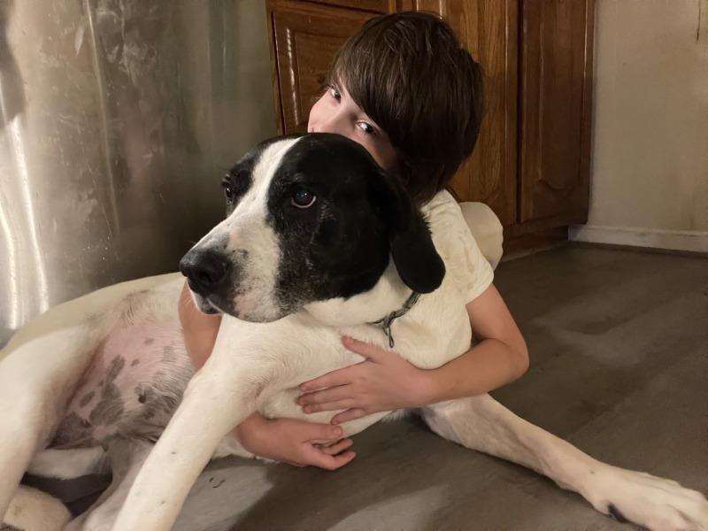 Moo Moo, Adoptable, Senior Female Hound & Mixed Breed.