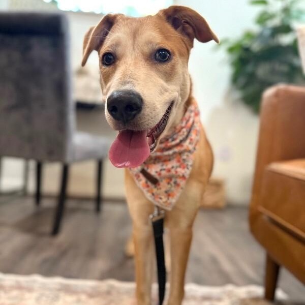 Sandy Duffy — thumbnail 2