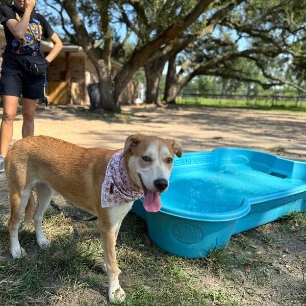 Sandy Duffy — thumbnail 3