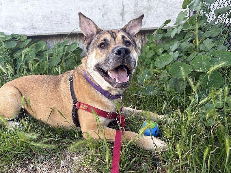 Behr — thumbnail 6