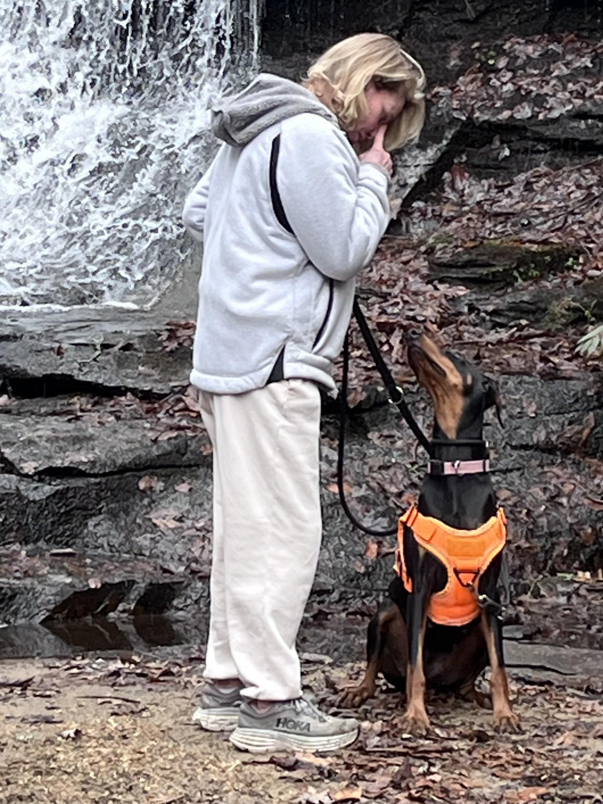 Zera, an adopted Doberman Pinscher in Cedar Mountain, NC image 3/5
