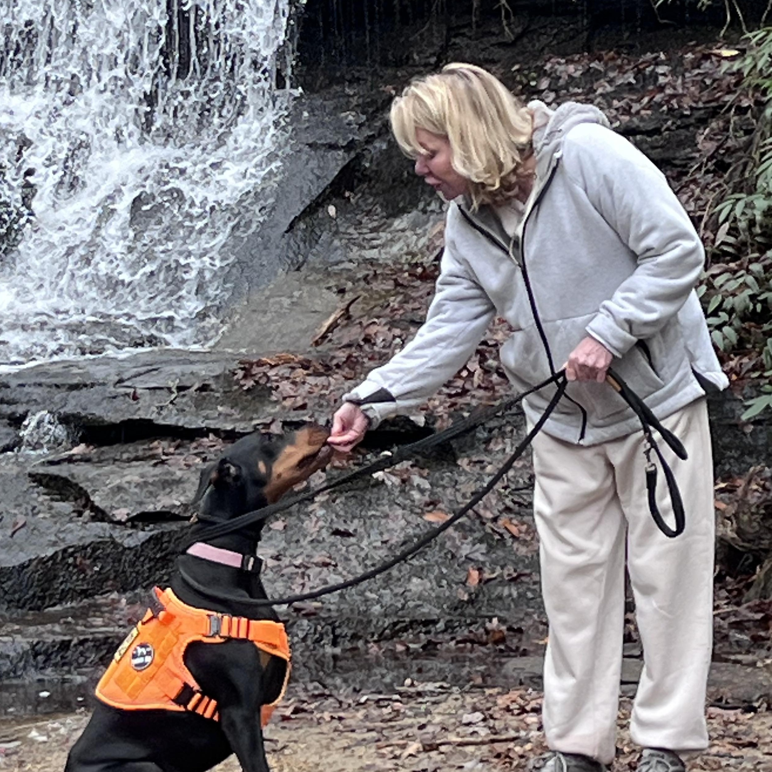 Zera, an adopted Doberman Pinscher in Cedar Mountain, NC image 5/5