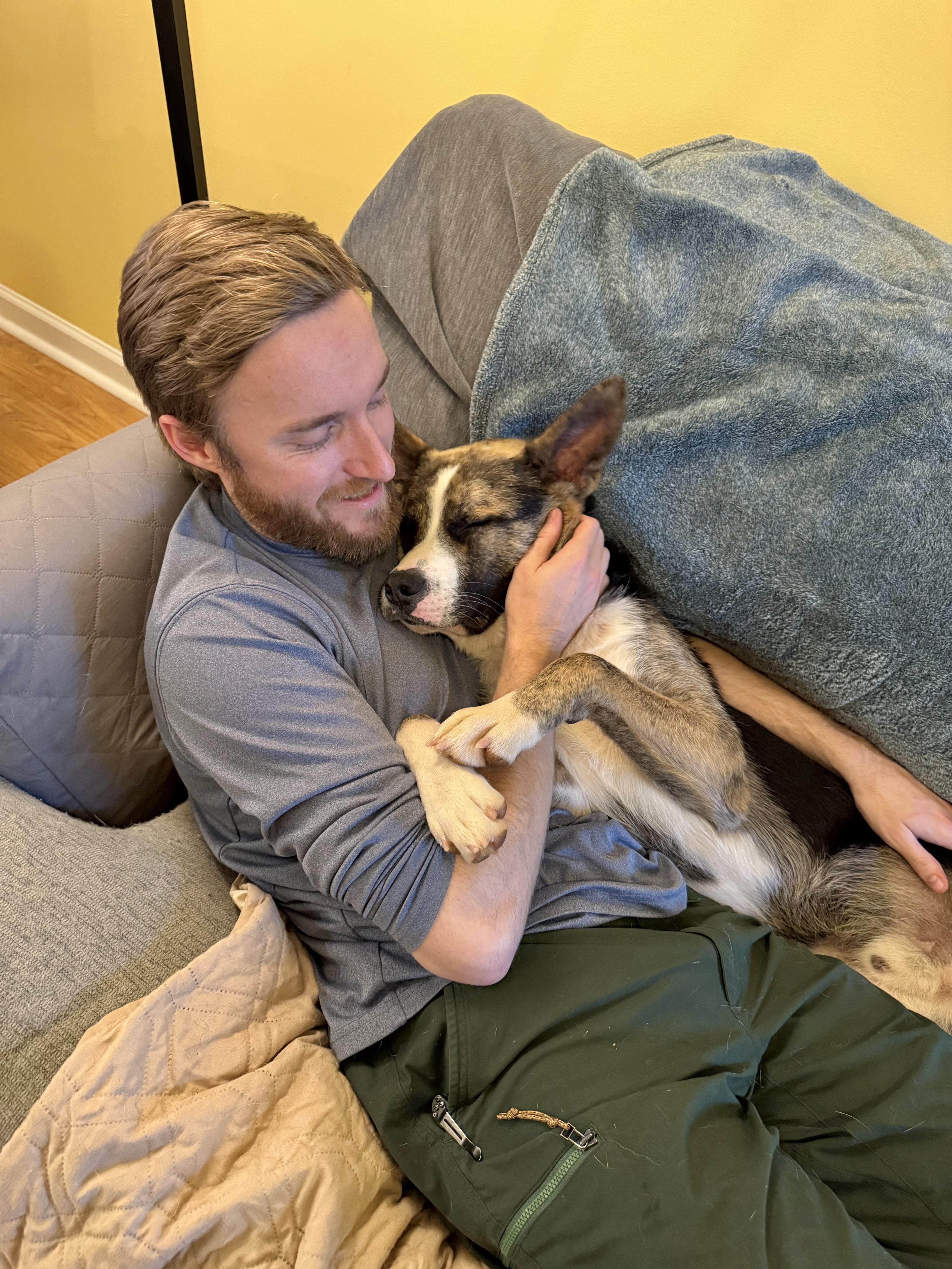 Enlarge Elf - Pending Adoption, a ADOPTABLE mixed breed in Nashville, TN image 3/6