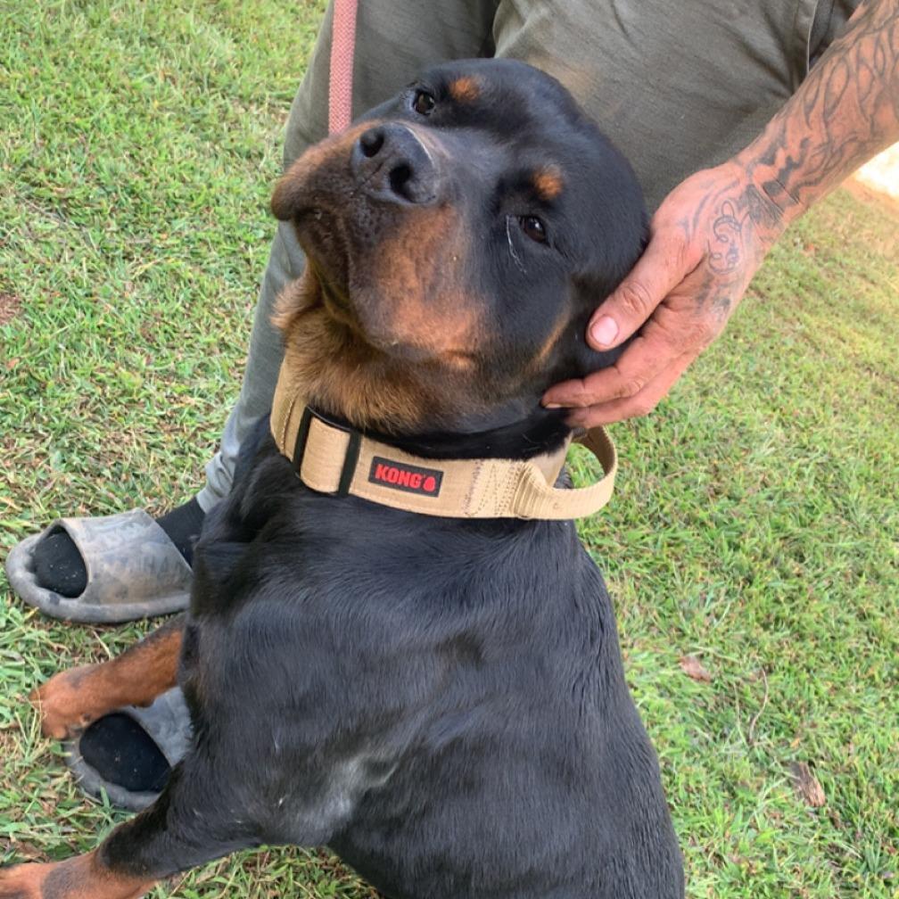 Scarlett thumbnail 2