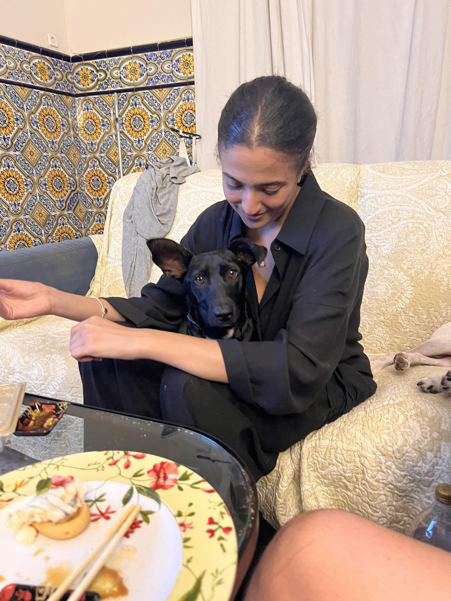 Monroe, a Adoptable mixed breed in Pittsburgh, PA image 5/6