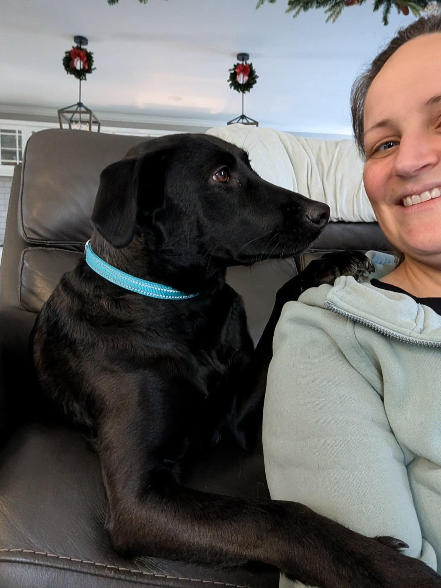 Enlarge Lucy, a Adoptable mixed breed in Argyle, NY image 6/6