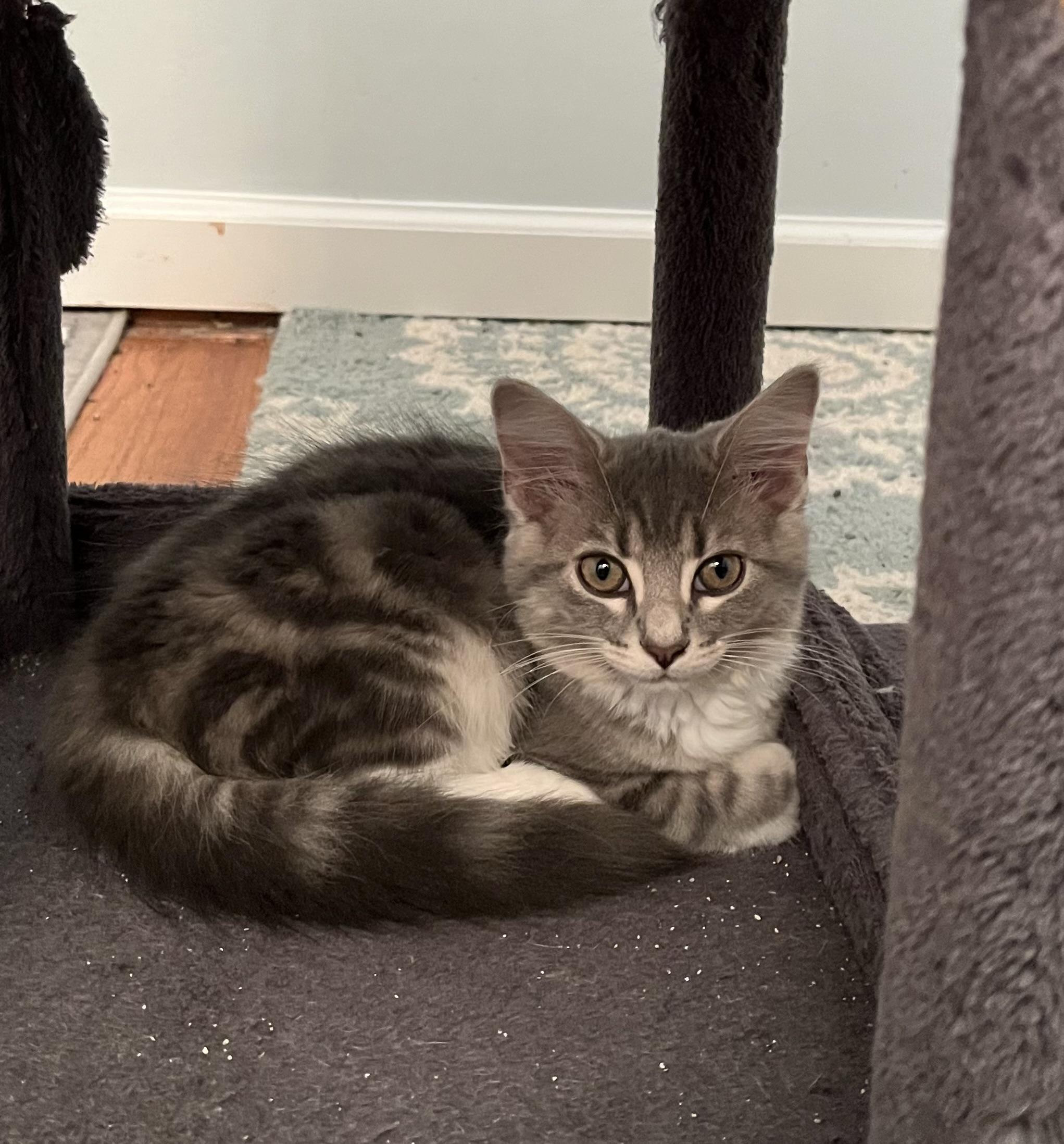 Rhea photo 2