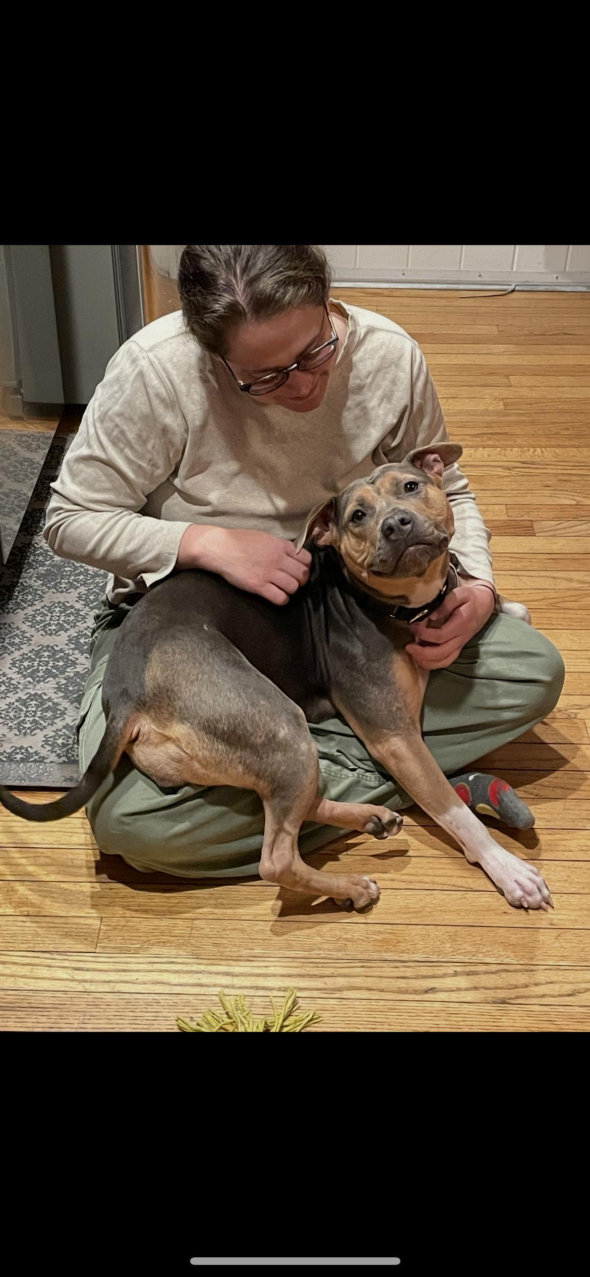 Enlarge Beatrix, a Adoptable mixed breed in Baltimore, MD image 1/4