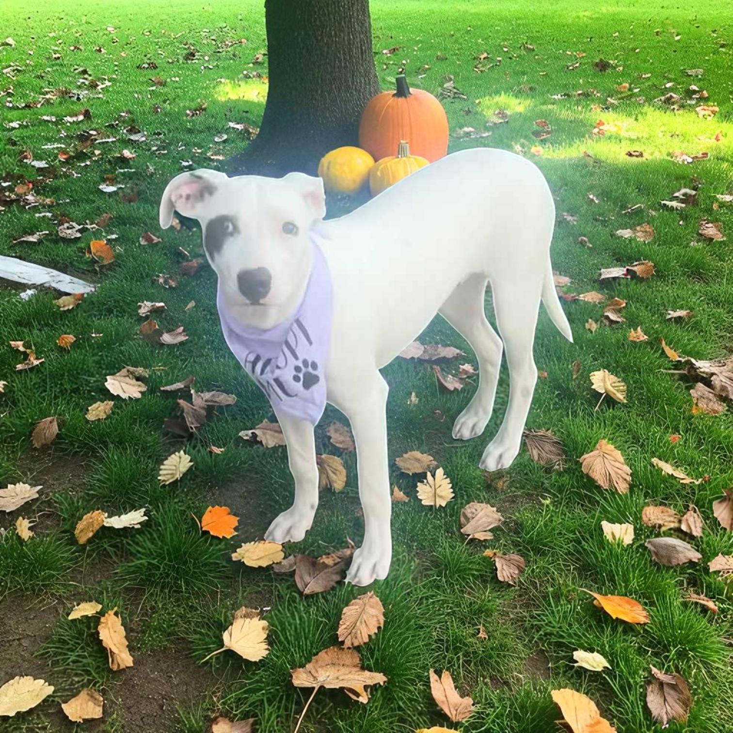 Roulette thumbnail 6