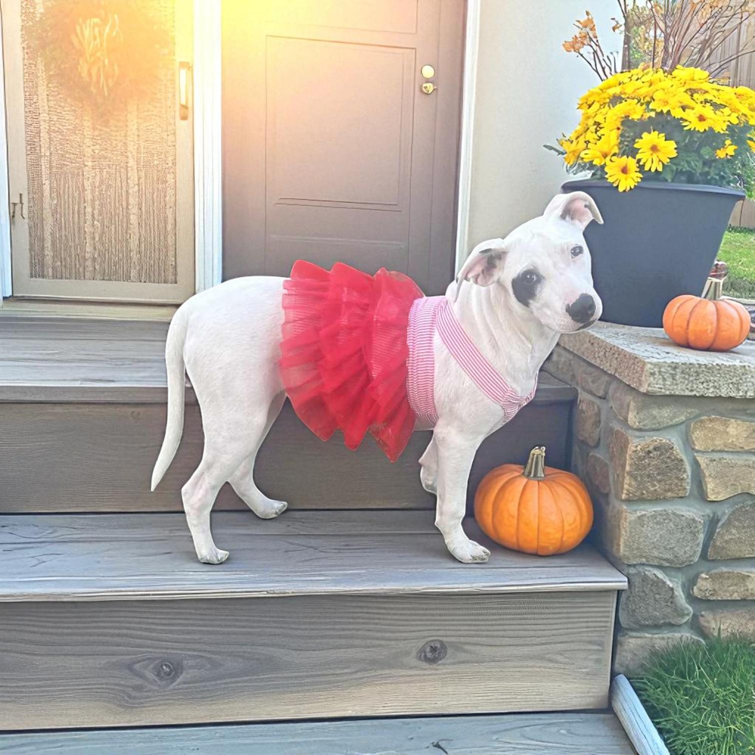 Roulette thumbnail 4