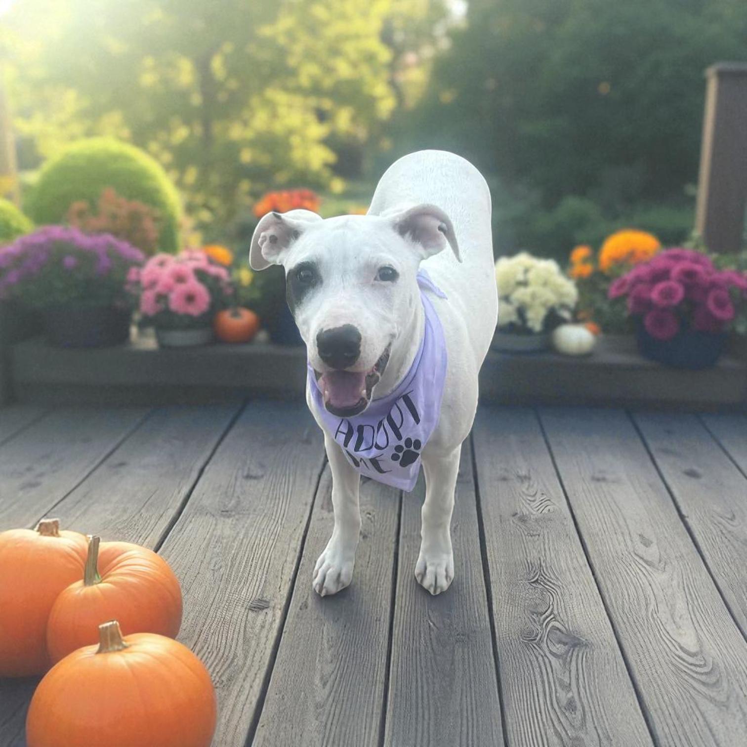 Roulette thumbnail 3