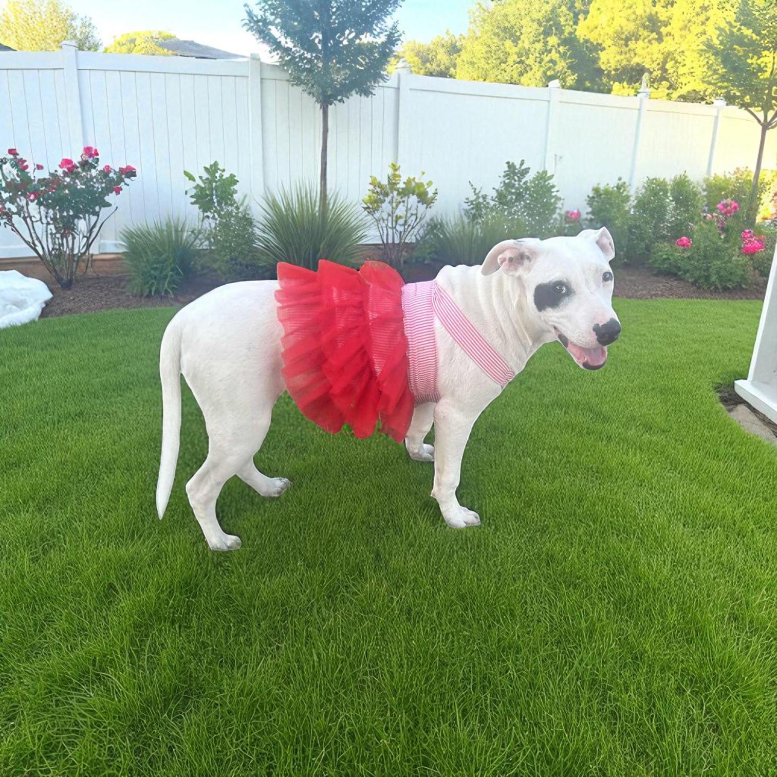 Roulette thumbnail 5