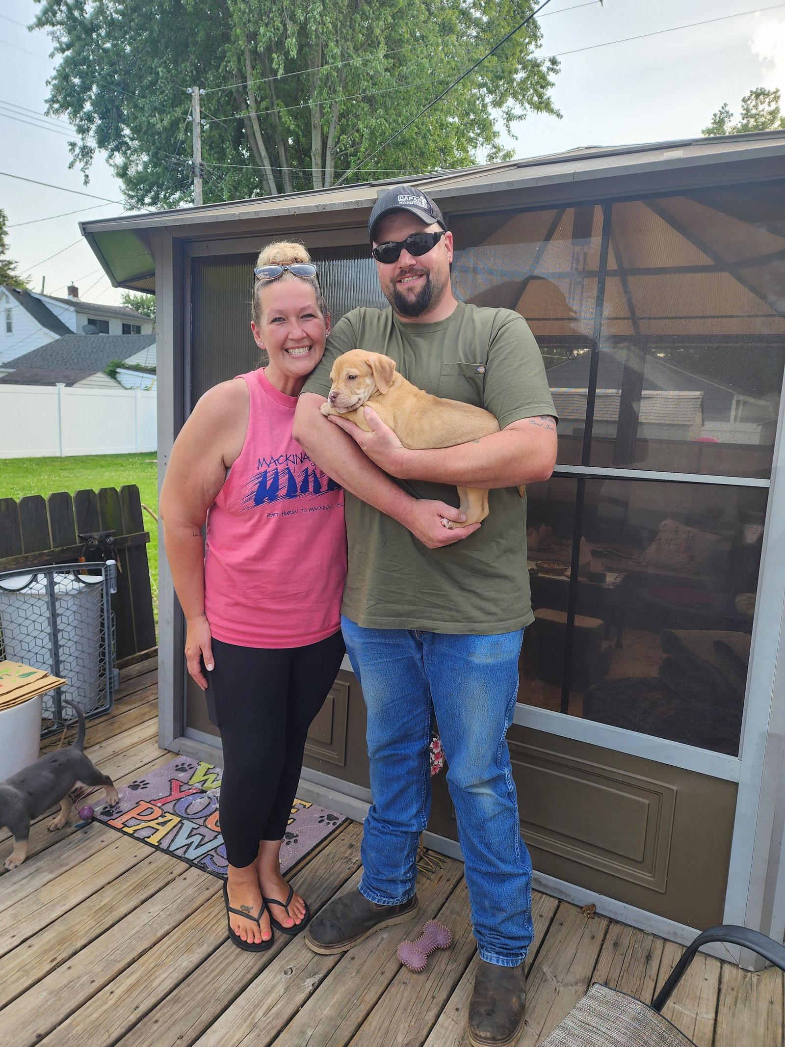 Enlarge Waylon, a Adopted mixed breed in Marine City, MI image 2/2