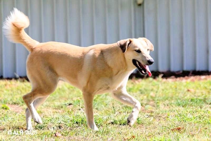 Sara - Fostered in Connecticut
