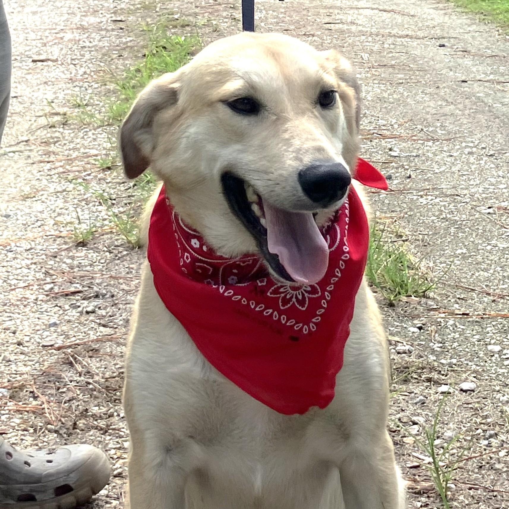Sara - Fostered in Connecticut photo 3
