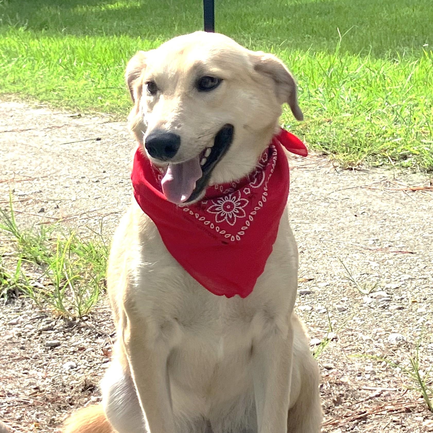 Sara - Fostered in Connecticut photo 2