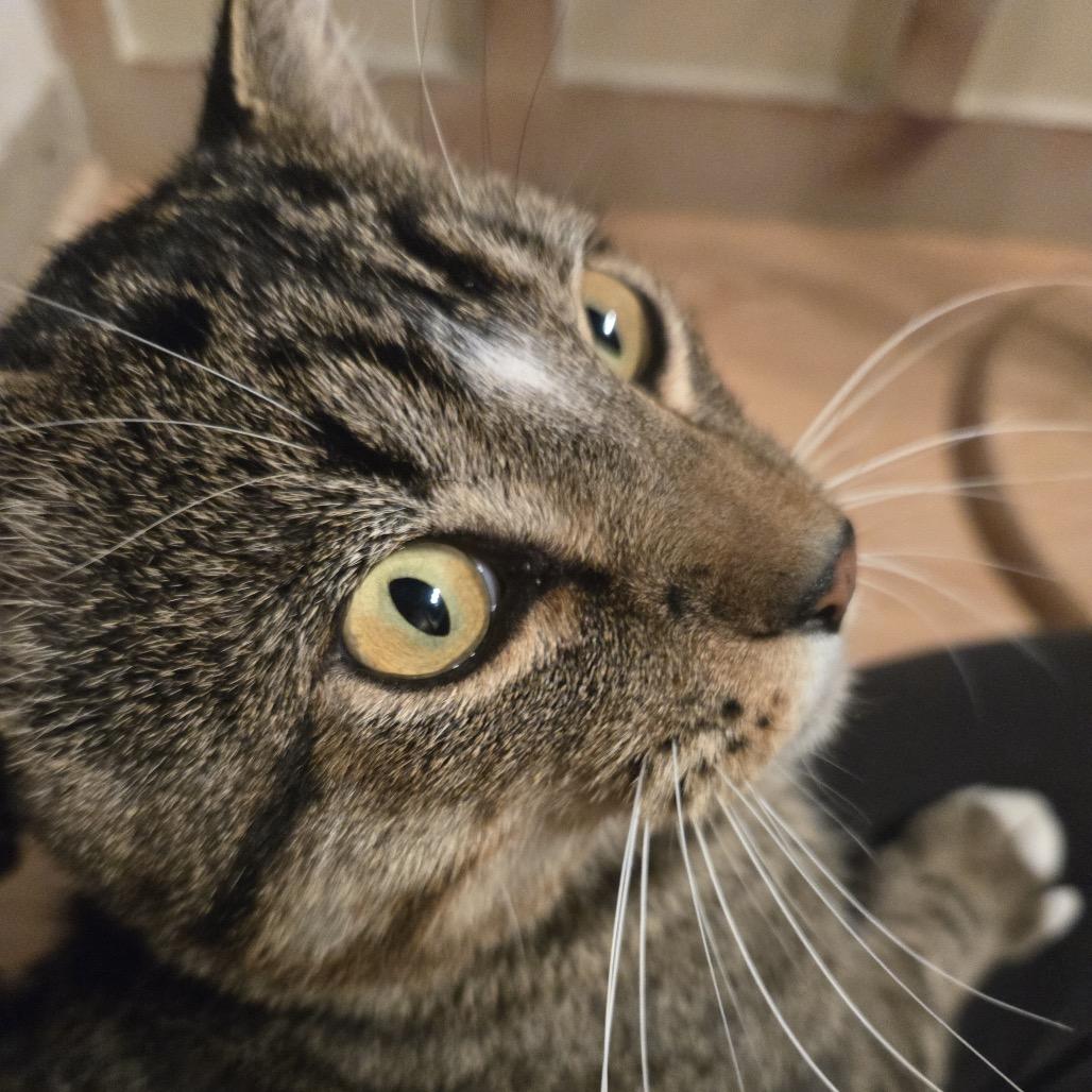 Nimbus — thumbnail 2