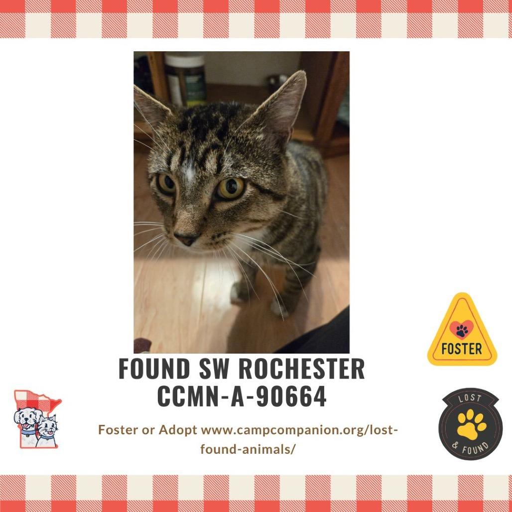 Nimbus — thumbnail 4