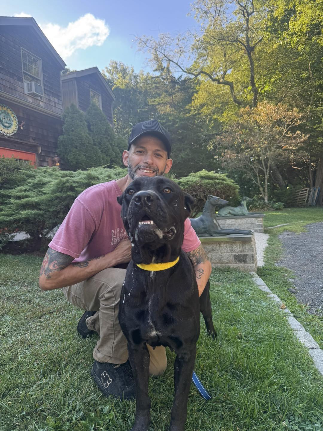 Vanta, an adoptable mixed breed in AQUEBOGUE, NY image 2/3