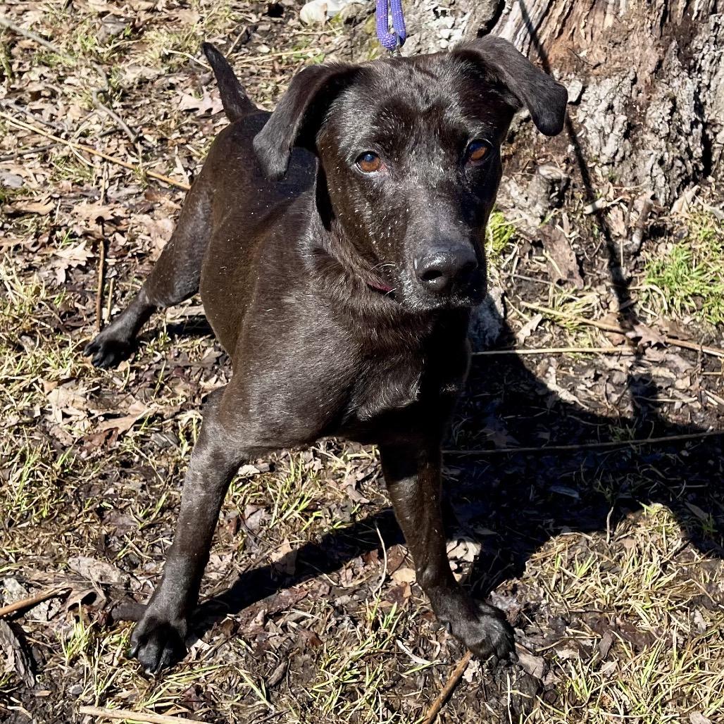 Gee Gee — thumbnail 4