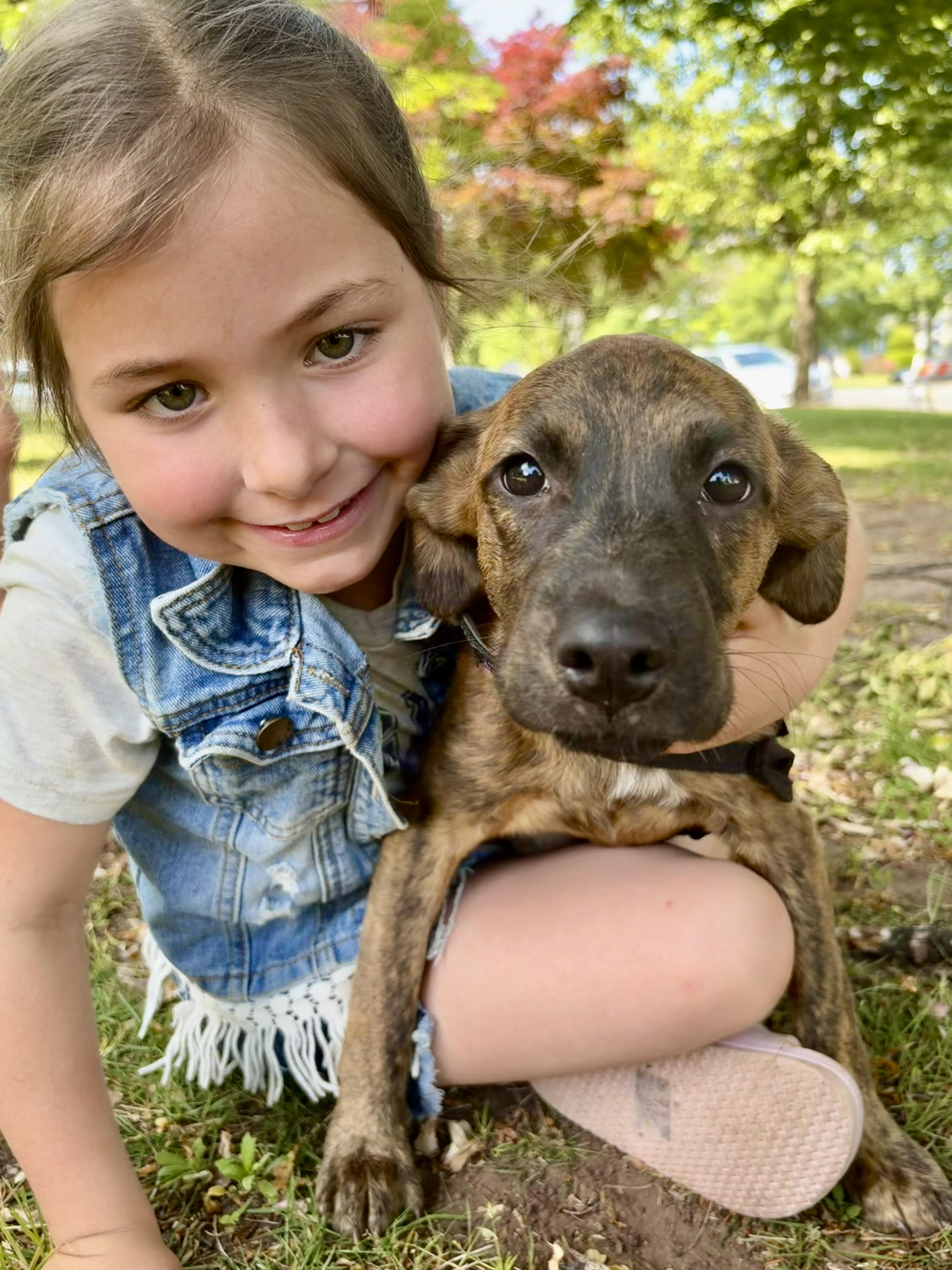 Beth, an adopted mixed breed in New York, NY image 2/5